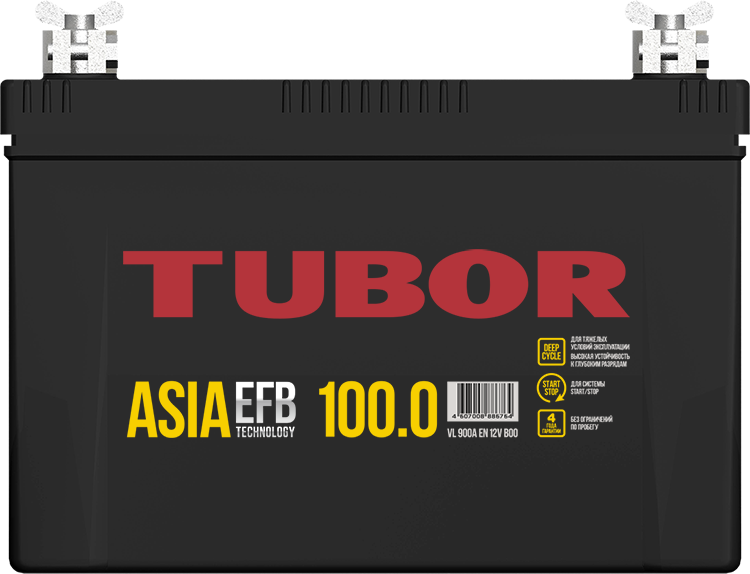 <span style="font-weight: bold;">TUBOR EFB 100 a\h</span>&nbsp;